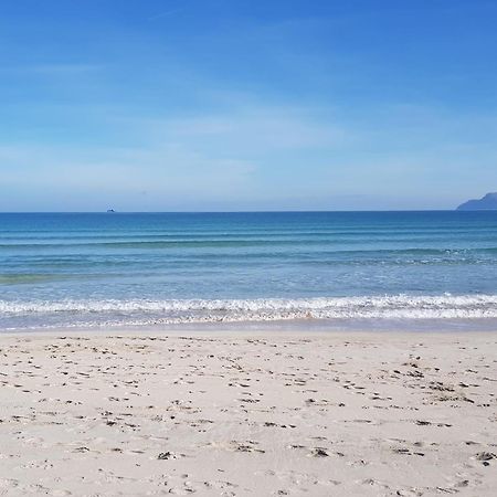 Ideal Property Mallorca - Cittadini 37 Alcudia  Eksteriør billede