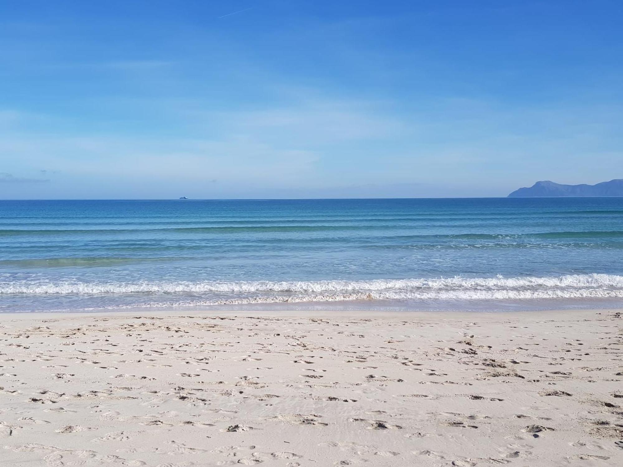 Ideal Property Mallorca - Cittadini 37 Alcudia  Eksteriør billede